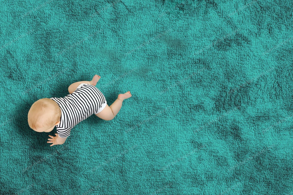 Detoxing Carpets pathways towards safe and recyclable carpet in a