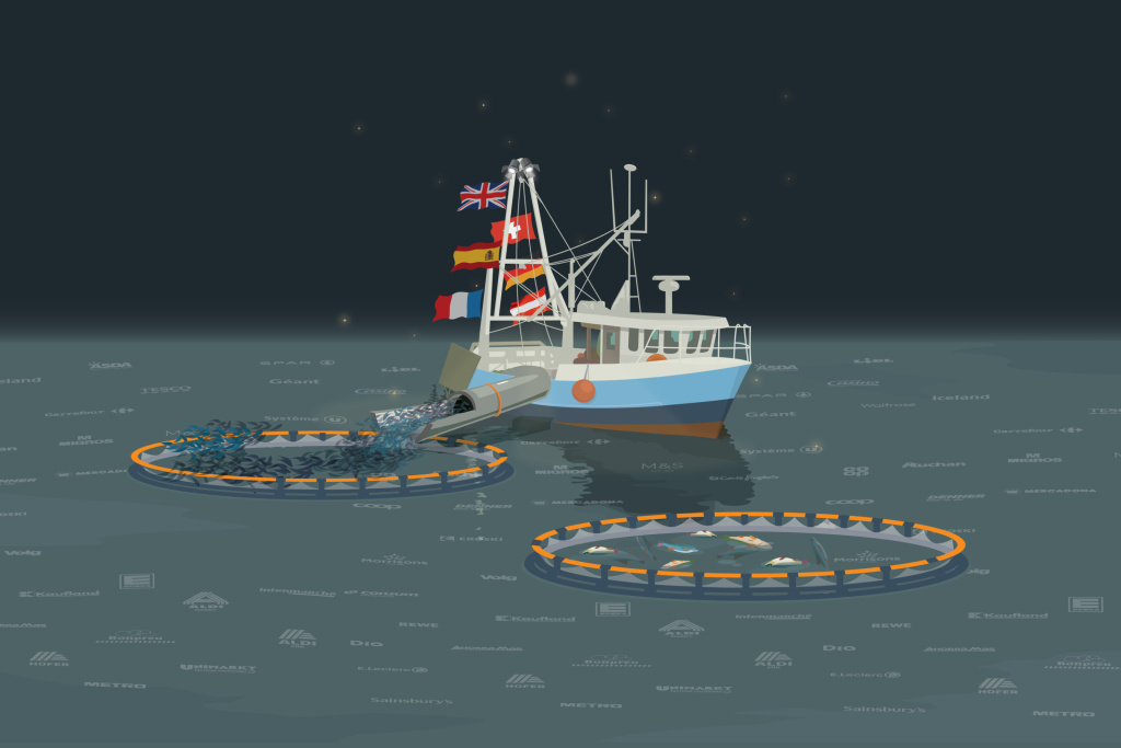 Floundering Around An assessment of where European retailers stand on