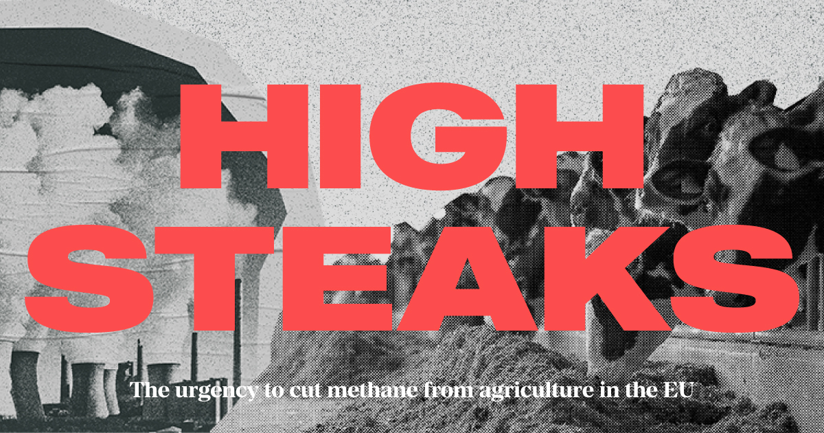 HighSteaks_social-media-post.jpg