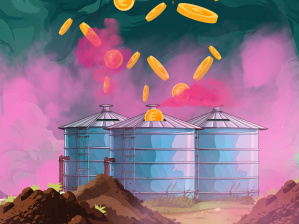 Biogas policies in the EU: Levelling up or locking in? 2