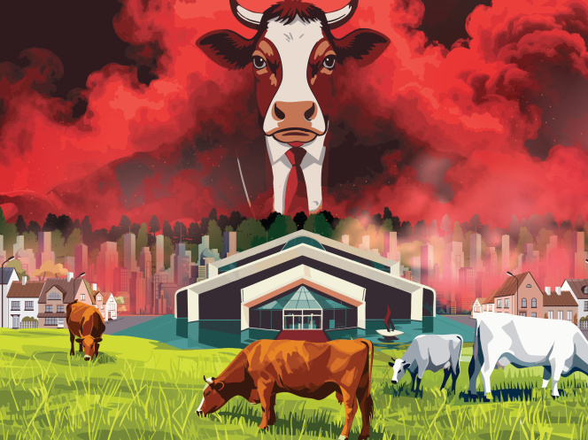 The Meat Agenda: Agricultural Exceptionalism and Greenwash in Brazil
