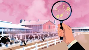 Materially Neglected: Agricultural Methane and Investor Risk 6