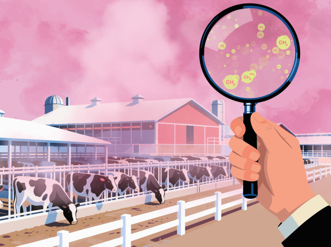 Materially Neglected: Agricultural Methane and Investor Risk 6