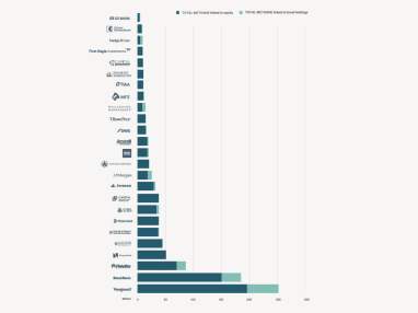 Materially Neglected: Agricultural Methane and Investor Risk 5