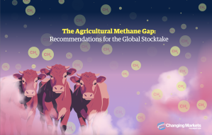 The Agricultural Methane Gap: Recommendations for the Global Stocktake