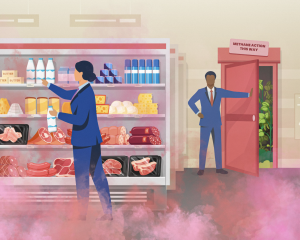 Shelved Again: Supermarkets' Missing Action on Methane