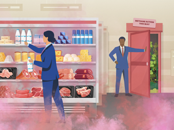 Shelved Again: Supermarkets' Missing Action on Methane