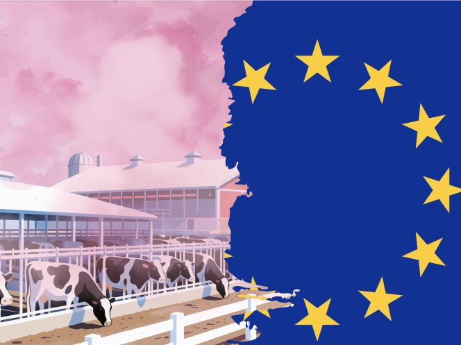 CSRD and CSDDD: A catalyst for methane emission reduction from Big Meat and Dairy?