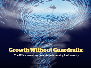 Growth without Guardrails 2