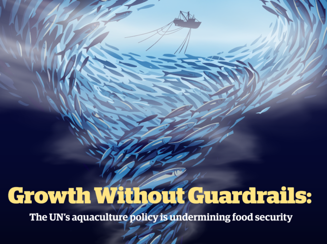 Growth without Guardrails 2